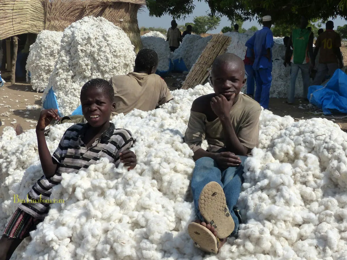 Illustration de l'article : Burkina Faso/Économie: entre résilience et fragilités persistantes