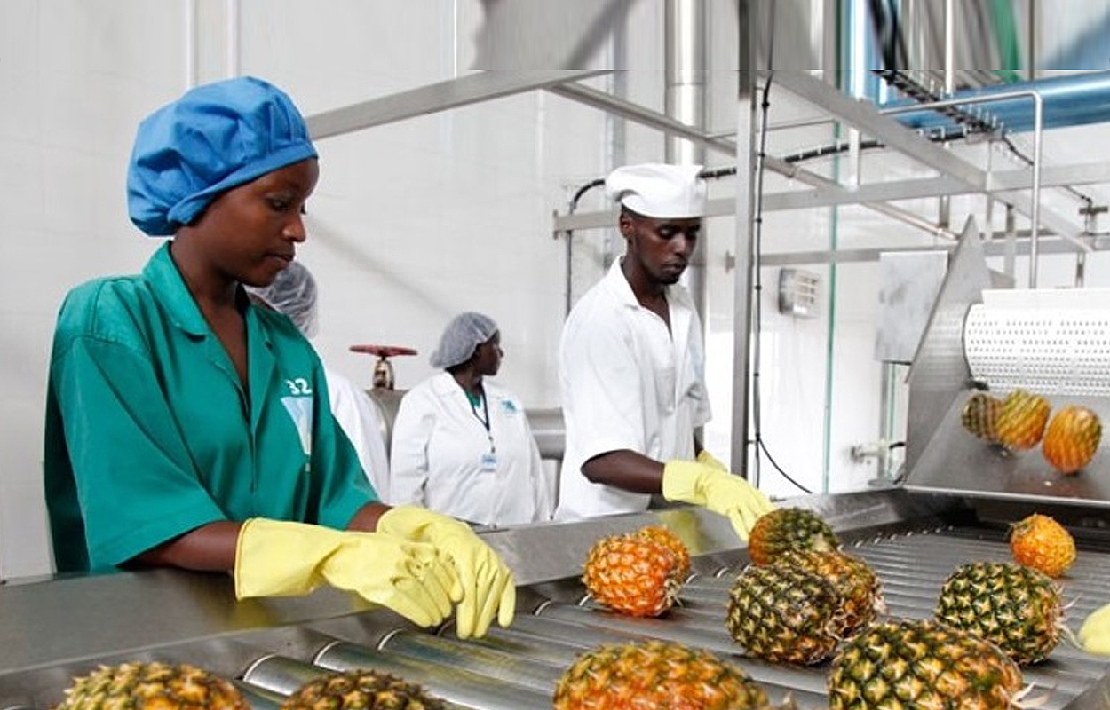 Afrique/PME : voici les six secteurs les plus attractifs en 2025